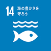 14 「海の豊かさを守ろう」